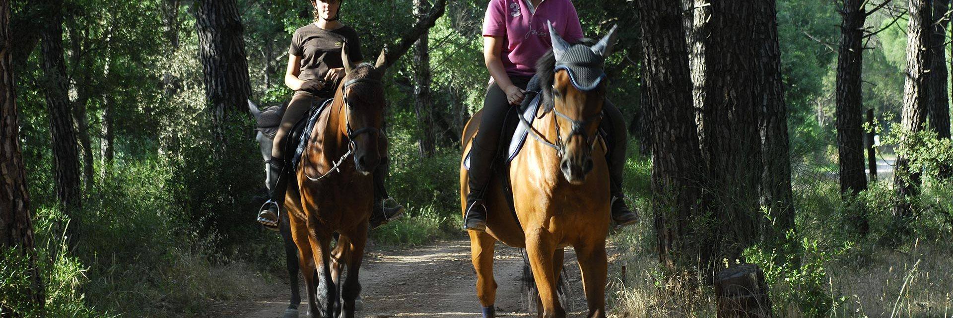 Horse-riding in the Maures Massif